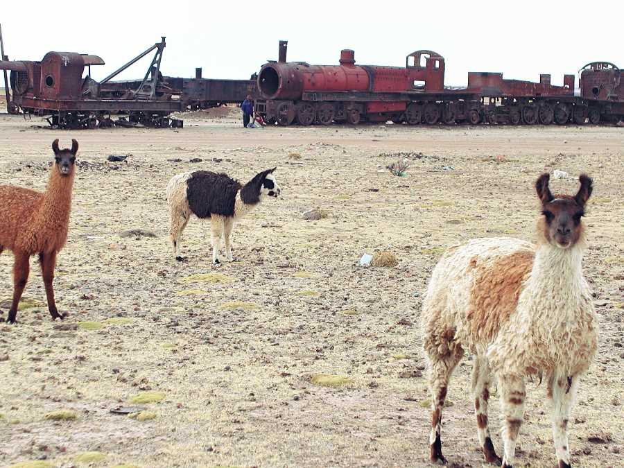 Train Graveyard. Uyuni, Bolivia
