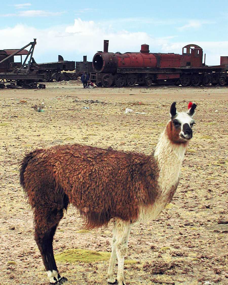 Train Graveyard. Uyuni, Bolivia