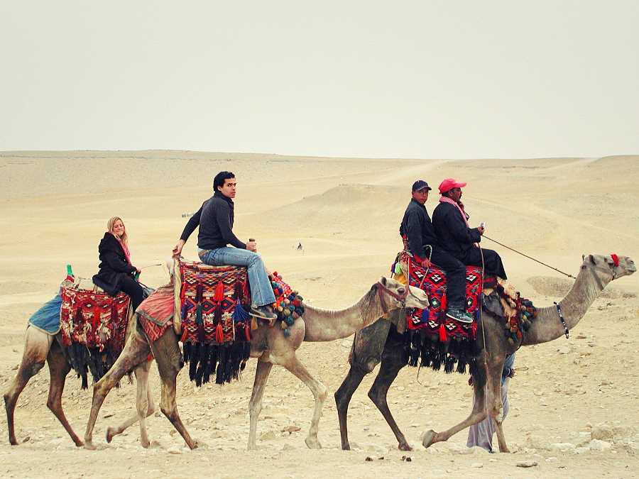 Tourists on camels. Giza, Egypt