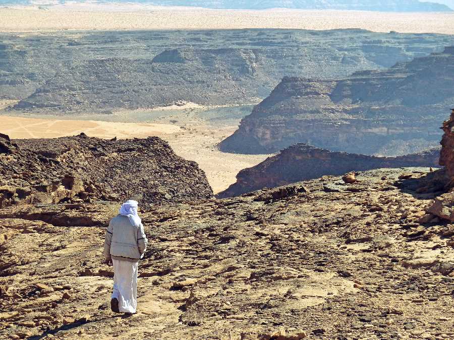 Bedouin in the Sinai desert