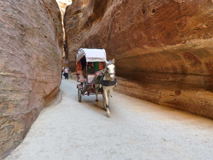 Horse and buggy travel through the Siq