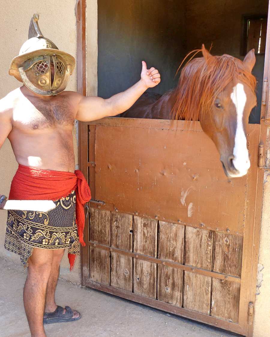 A gladiator poses for a photo at the stables