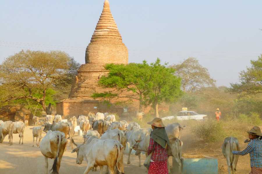 Mainstream scholarship however holds that Bagan was founded in the mid-to-late 9th century by the Burmans