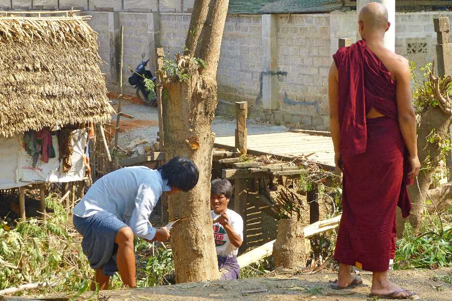 The rhythm of this town is set by the monks who wake early in the morning to converge in single file on the populace to receive alms