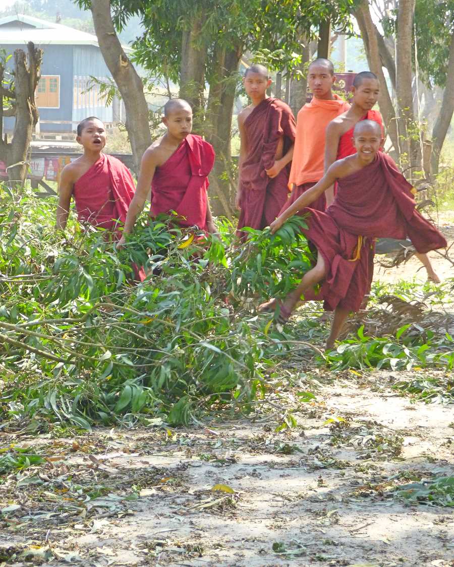 Rounding a corner in Nyaungshwe we approached this dozen or so monks collecting firewood for their nearby monastery
