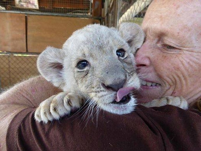 Volunteering with the Safari Park Volunteer Initiative is great fun