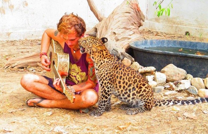 Get up close and personal with wild animals