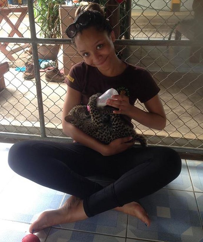 A volunteer bottle feeds a leopard cub