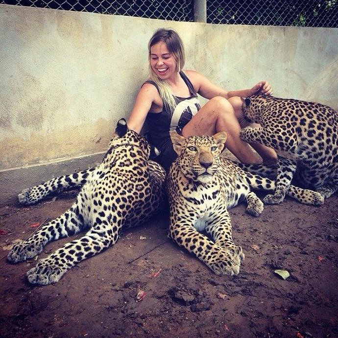 Volunteers are accepted every four weeks to assist with positive reinforcement training with big cats from six months to one year old