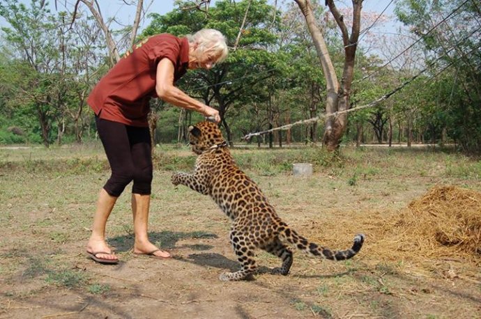 Volunteers can be all ages