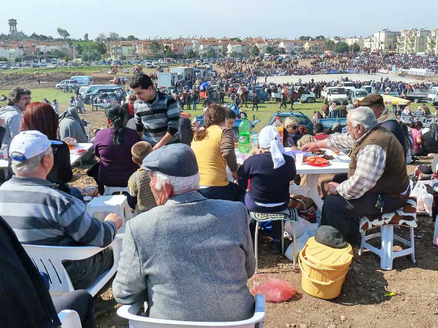 People watch the camel wrestling
