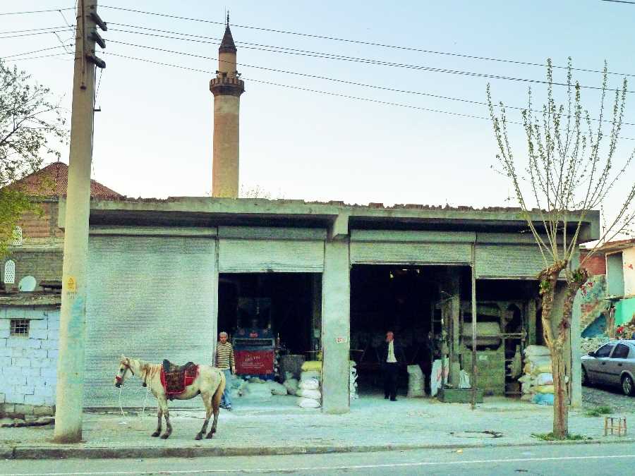 Horse outside a shop in Diyarbakir