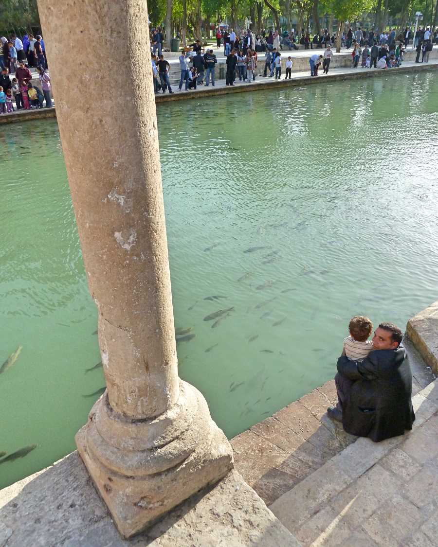 These fish and the water were changed from firewood and flames by God to save Abraham
