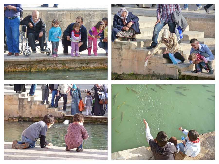 Holy fish Batman! (which is further to the east of Urfa)