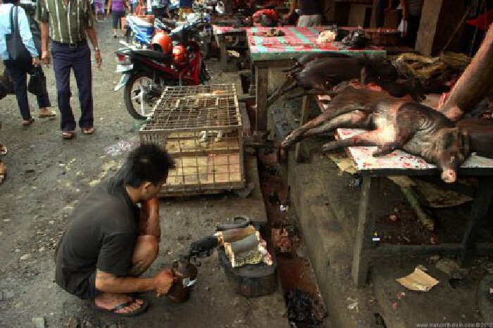 A market vendor uses a homemade blowtorch to cook a python at the Tomohon Traditional Market in North Sulawesi, Indonesia.