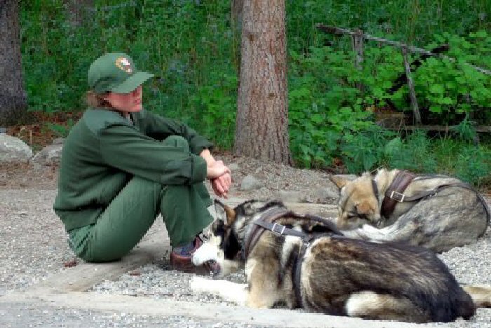 A ranger and sled dogs at Denali National Park – the only US park to have working sled dog kennels.