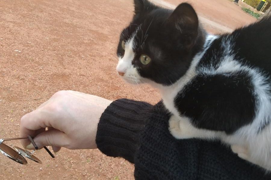 Latest vacancies, ideas and inspiration for working abroad and taking a gap year