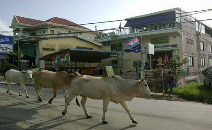 John say Sihanoukville attracts expat scum of the earth who wouldn't get away with what they do anywhere else