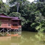 Ersatz Expat: Why I Live In Miri