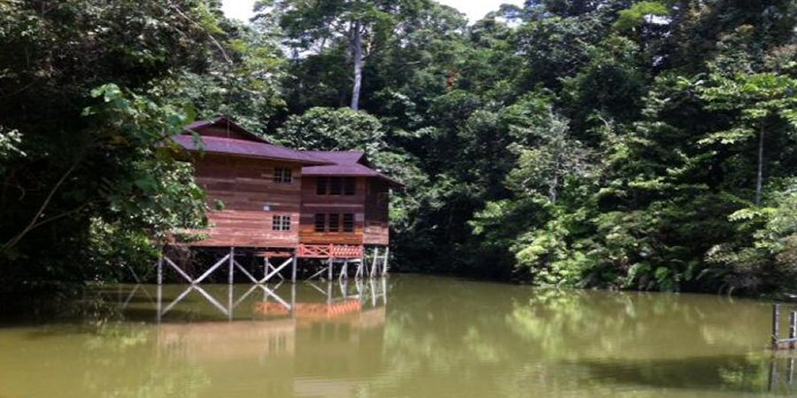 Live in Miri, Sarawak, Malaysia