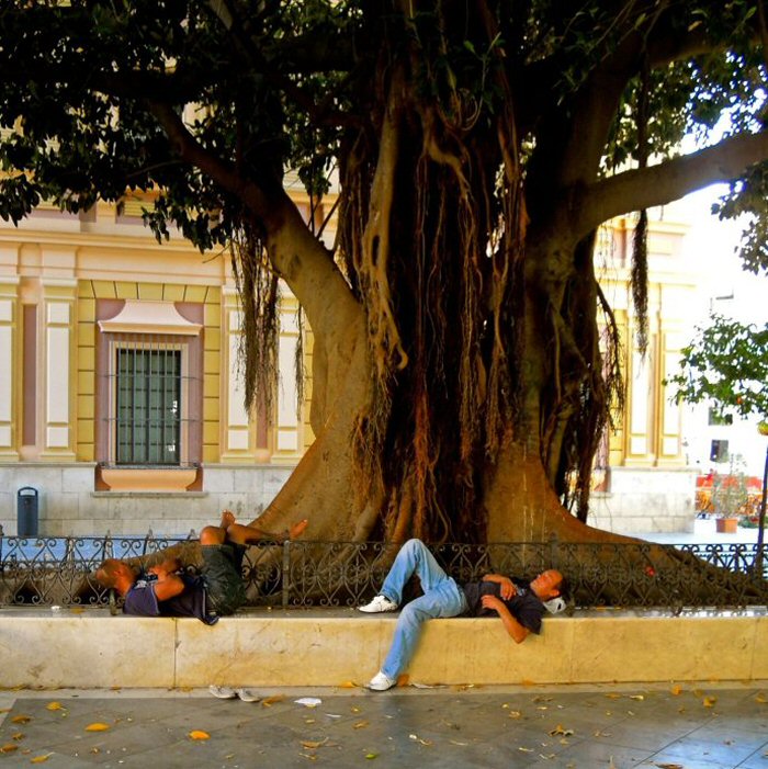 Seville has gorgeous old Moorish architecture, great tapas bars, vibrant street life