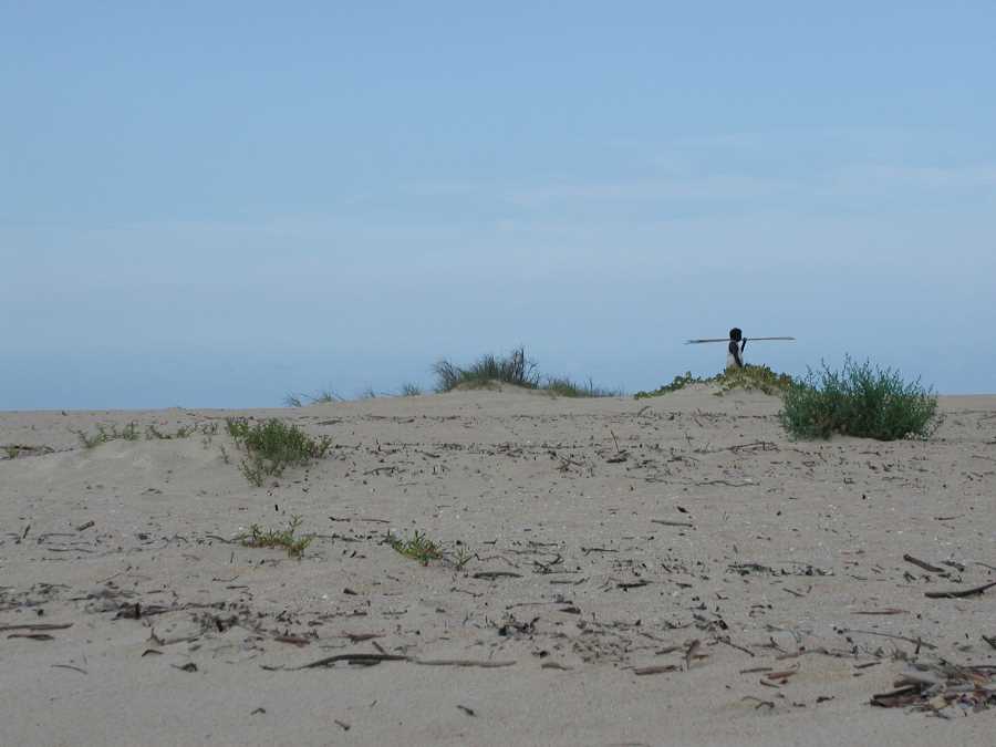 What's that in the distance?