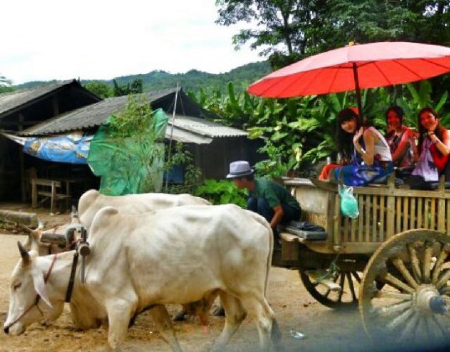 TEFL Course in Chiang Mai, Thailand