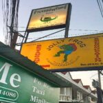 Grubby And Flawed – Why We Still Loved The Frog