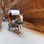 Horse and buggy in the Siq at Petra
