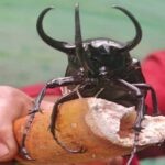 99 Reasons To Be Afraid Of Travelling