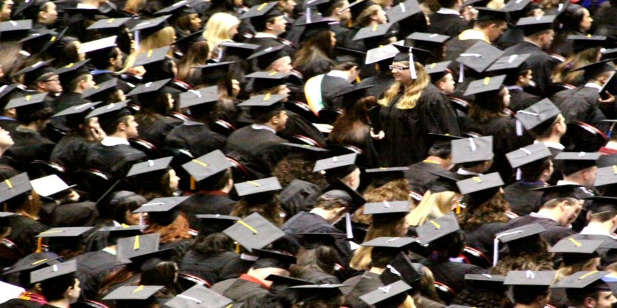 Degrees, Travel and Working Abroad