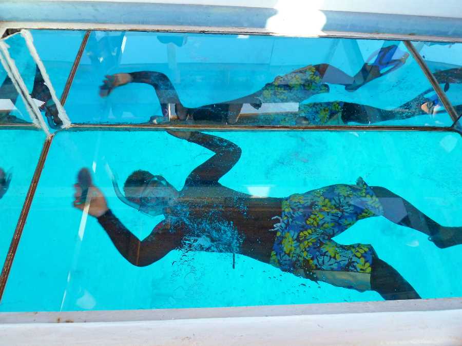 In Dahab, we petted cats by the beach and did a little snorkelling
