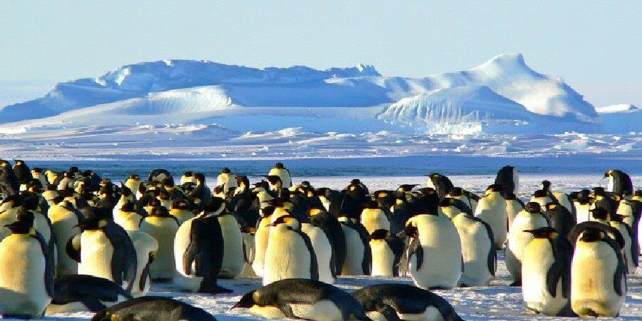 You are currently viewing Polar Ice Caps Melting! How To Plan Your Cool Trip