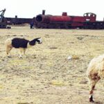 Around The World With JAB – Our First Big Trip 2002/3