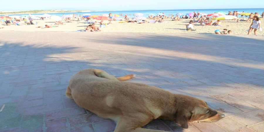 You are currently viewing Why Winter Seems Longer In A Tourist Resort In Turkey