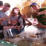 Living and working on a kibbutz in Israel