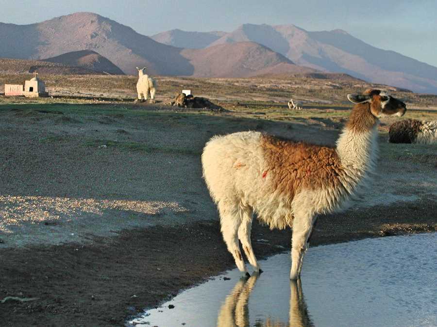 Experience a gap year