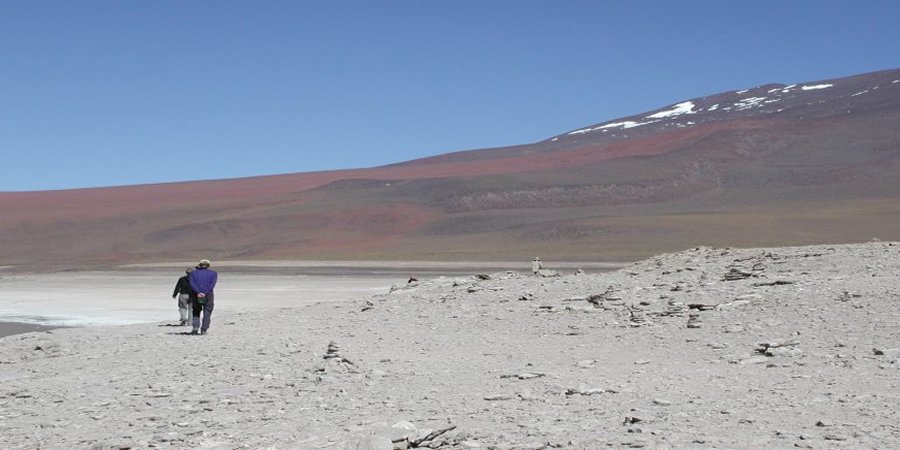 Gap year placement organisations