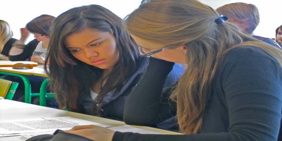 Language Assistant in Germany