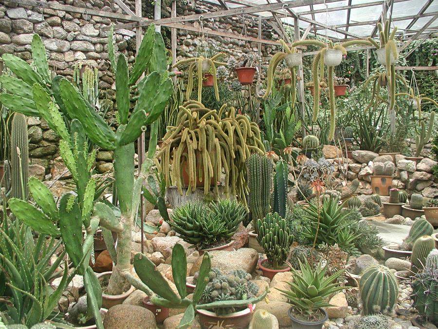 volunteer to work on a garden help exchange